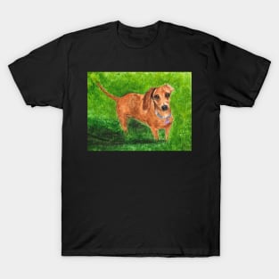 Cute Dachshund Sausage Dog T-Shirt